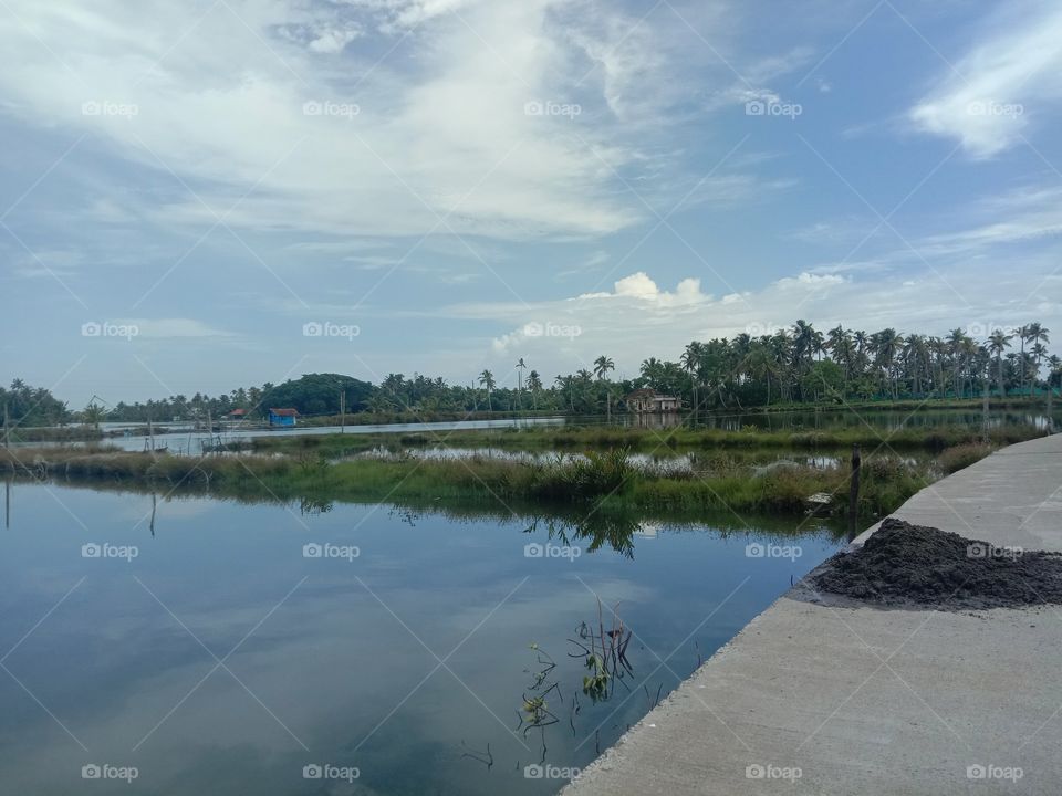 Ever dreamt of a day in a small house between in the water bodies...☺️❤️