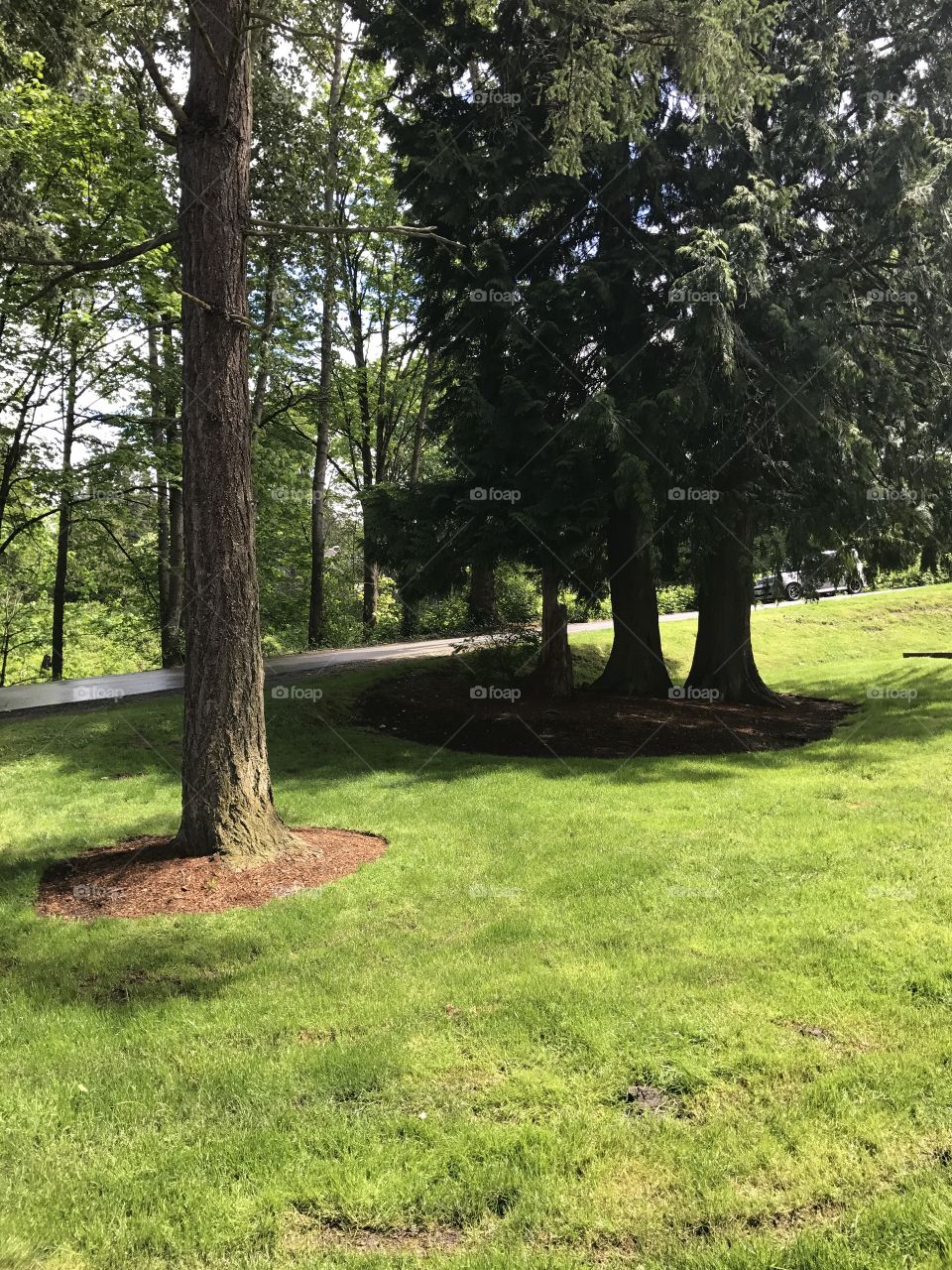 Little park area in my apartment complex.