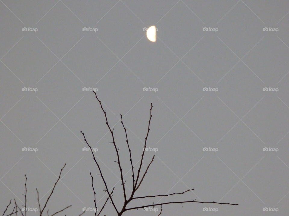 Half moon on a cloudy night