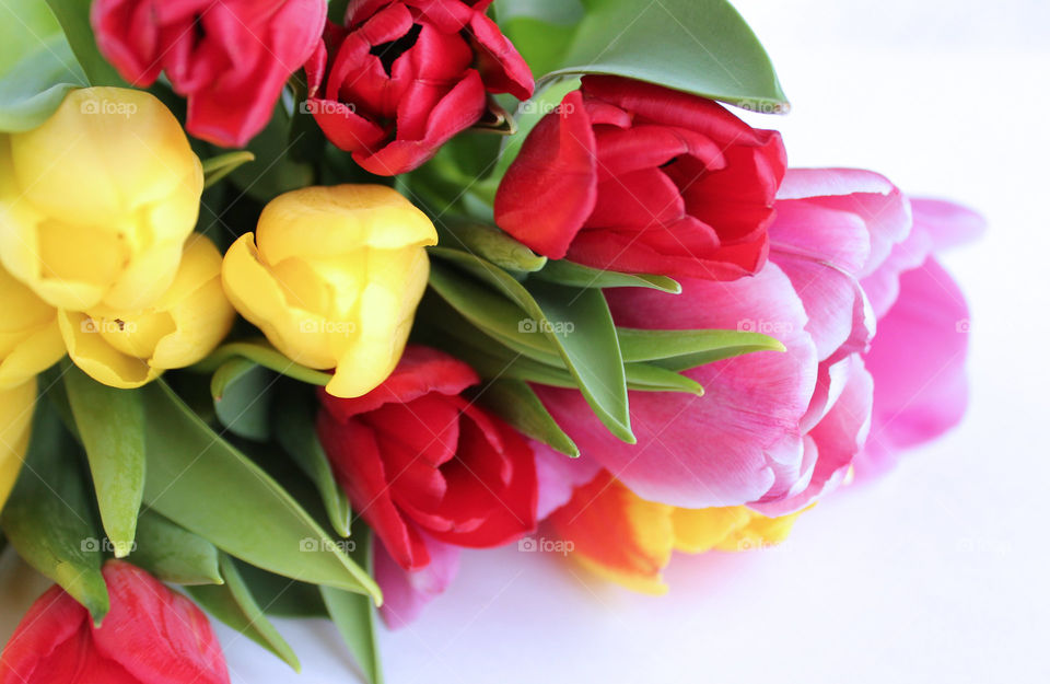 Multi-colored tulips - spring bouquet