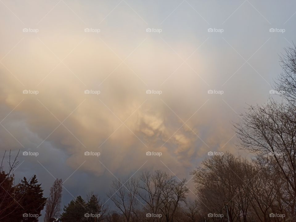 sky above trees before rain storm