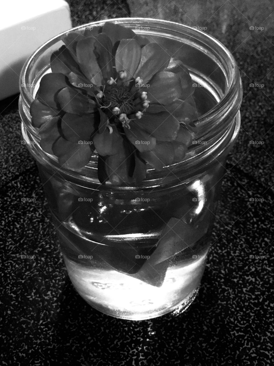 Zinnia in a mason jar...simple. 