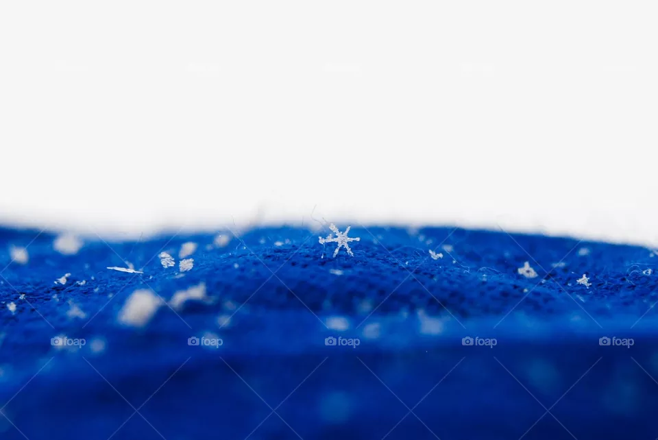 Winter Blue 