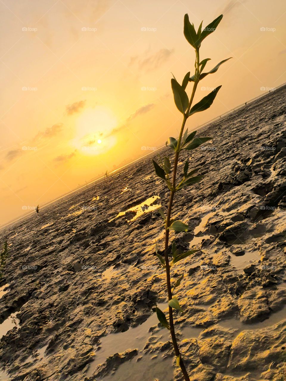 dumas beach, surat, india