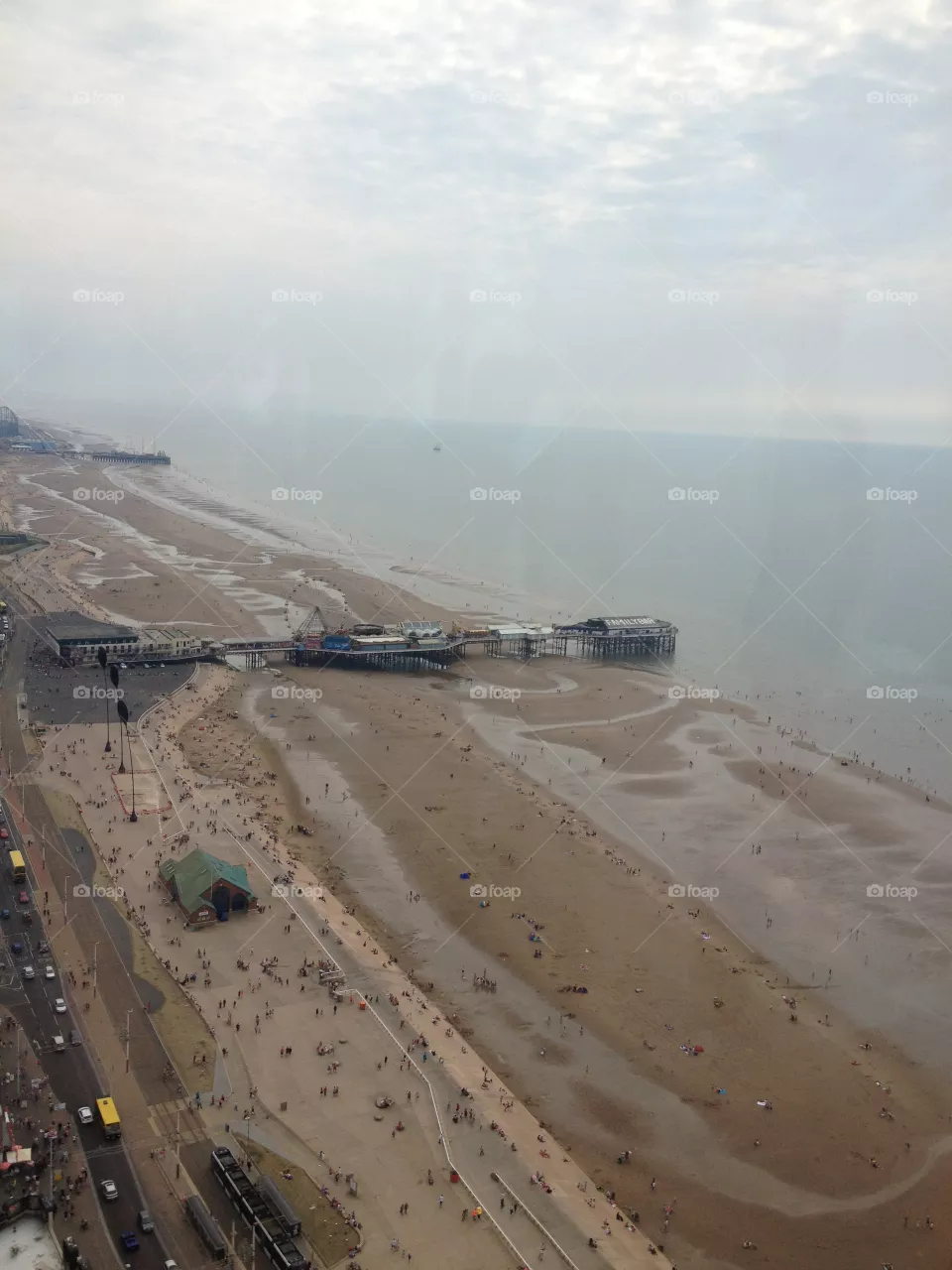 Beach bird view