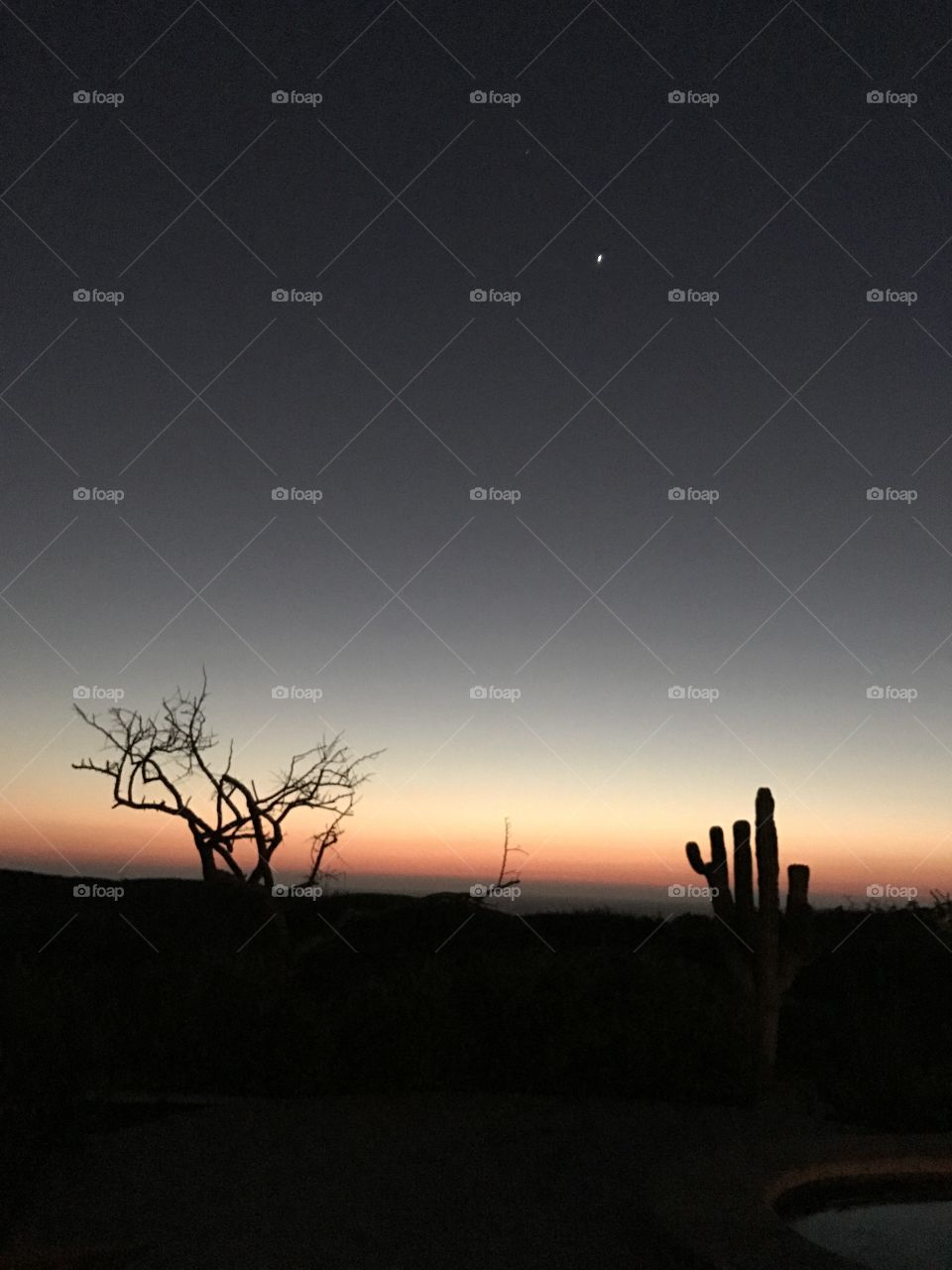 Sunset, Landscape, Dawn, Desert, Silhouette