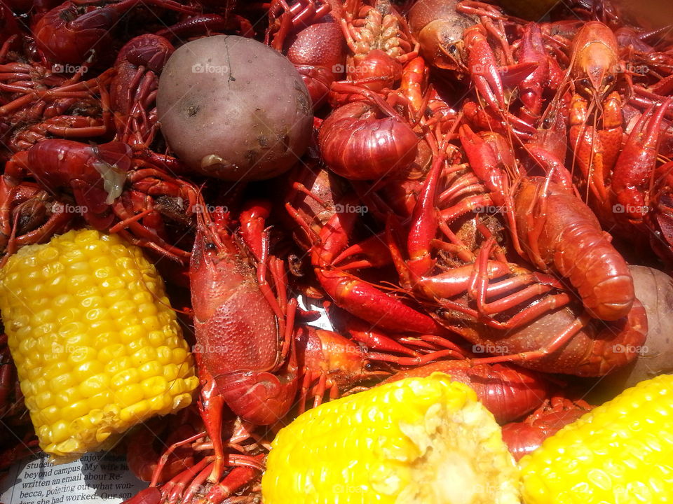 Crawdads. Call it what you want, there's nothing like boiled crawfish!