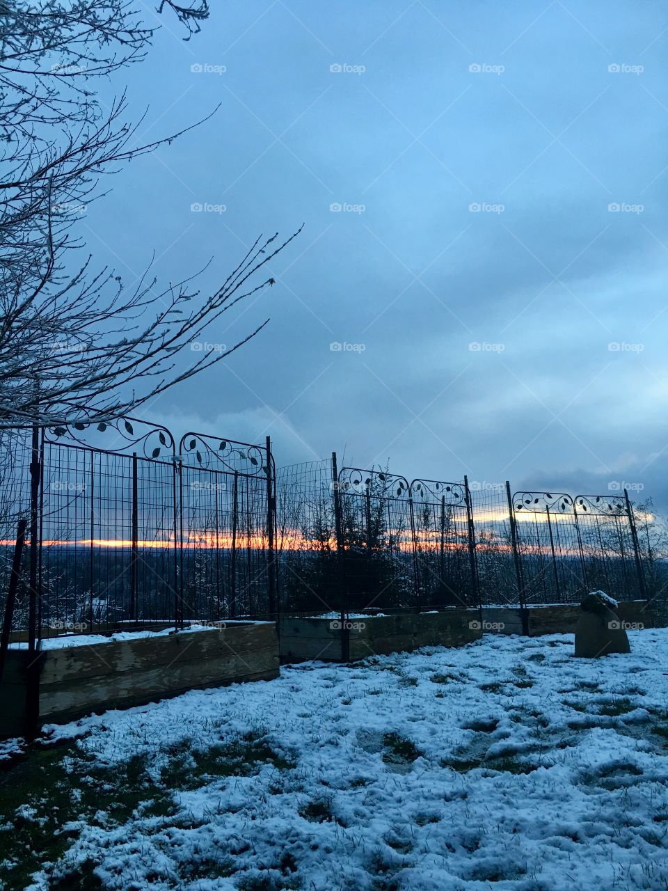 Backyard cedar containers 