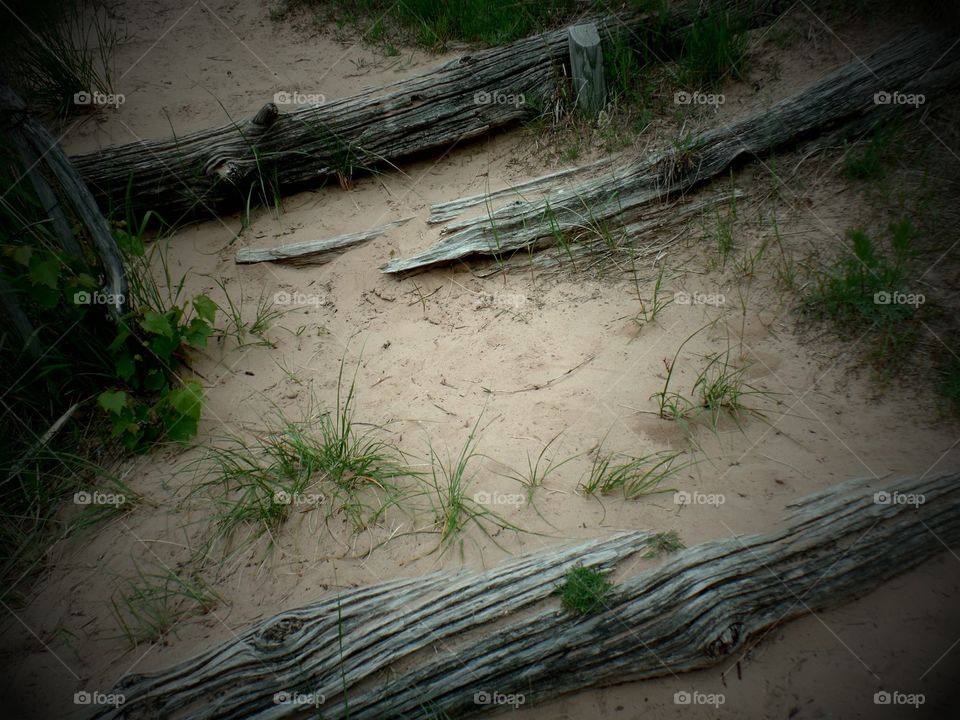 Empire Bluffs
Michigan 