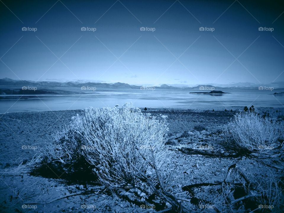 Shrub Lake mountains. Scenery in grey.