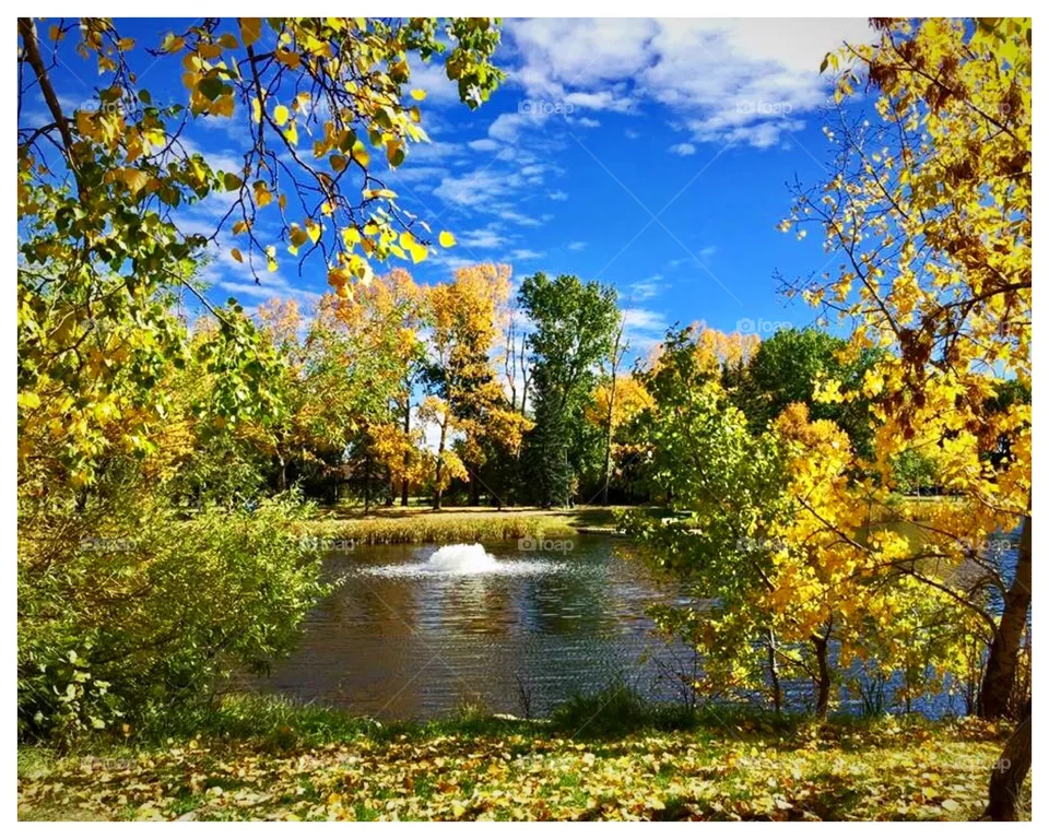 Fall Park
