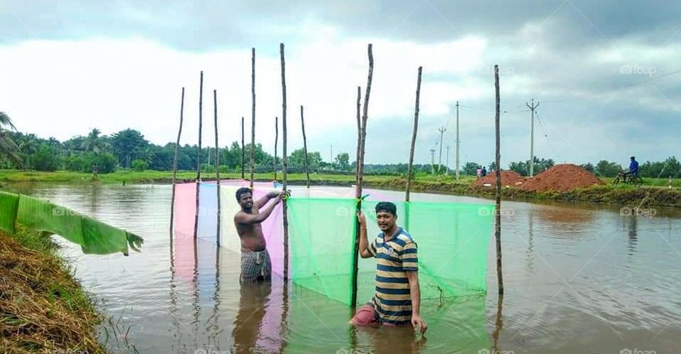 ready to fish culture