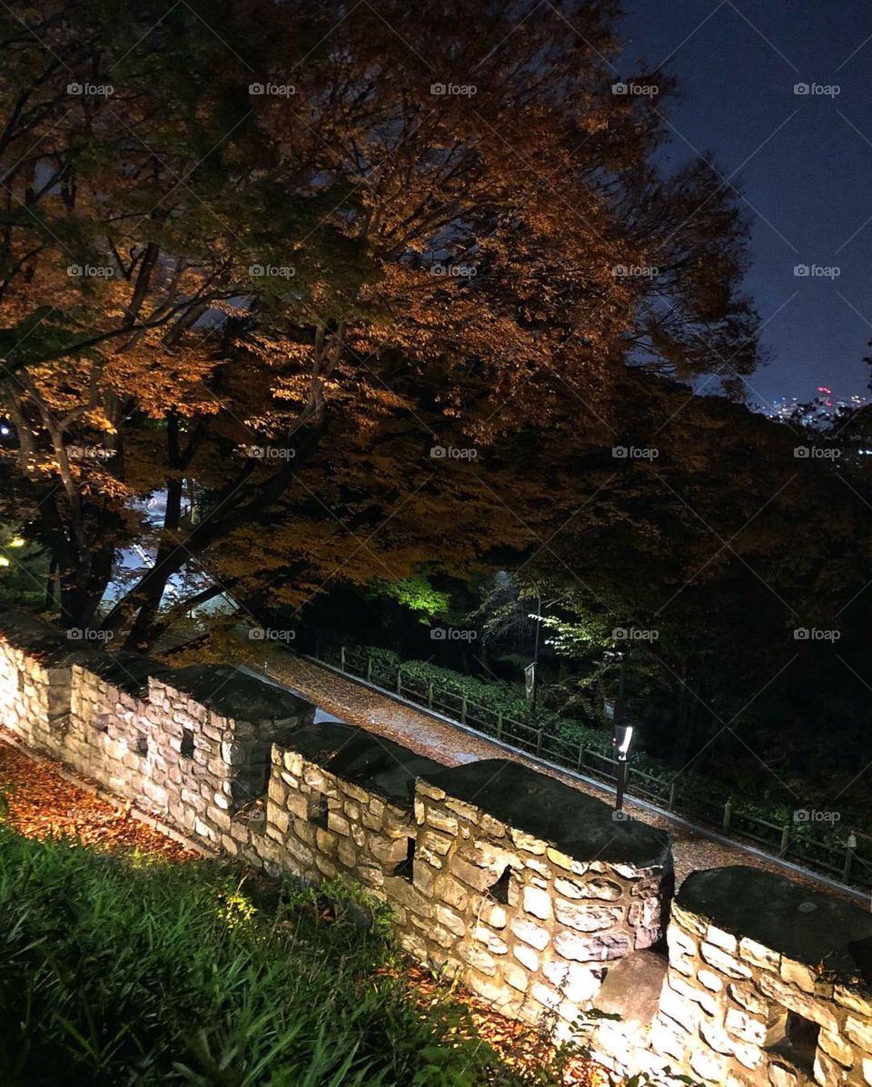 Nightfall at N Seoul Tower