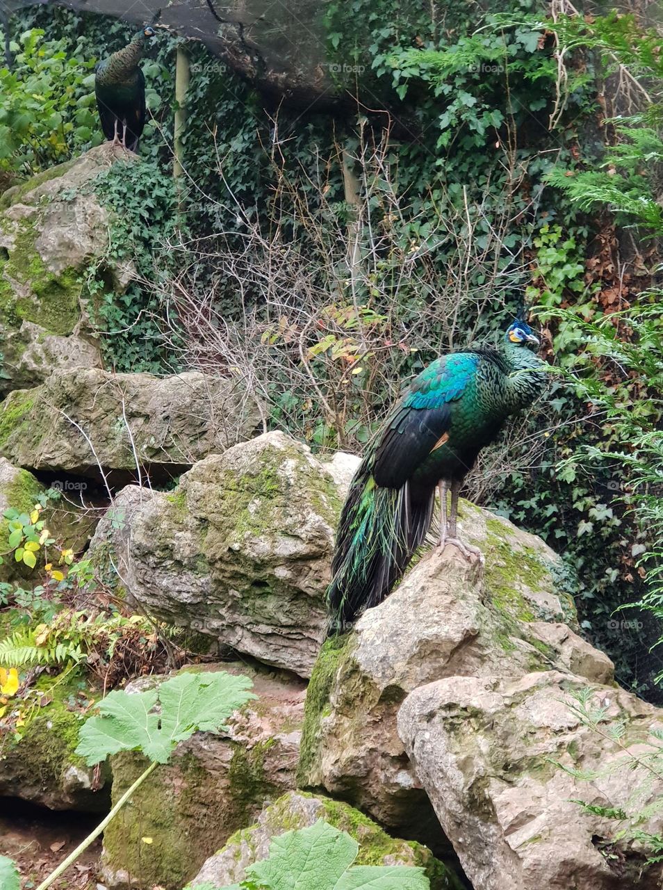 you think there is one, but actually it's two