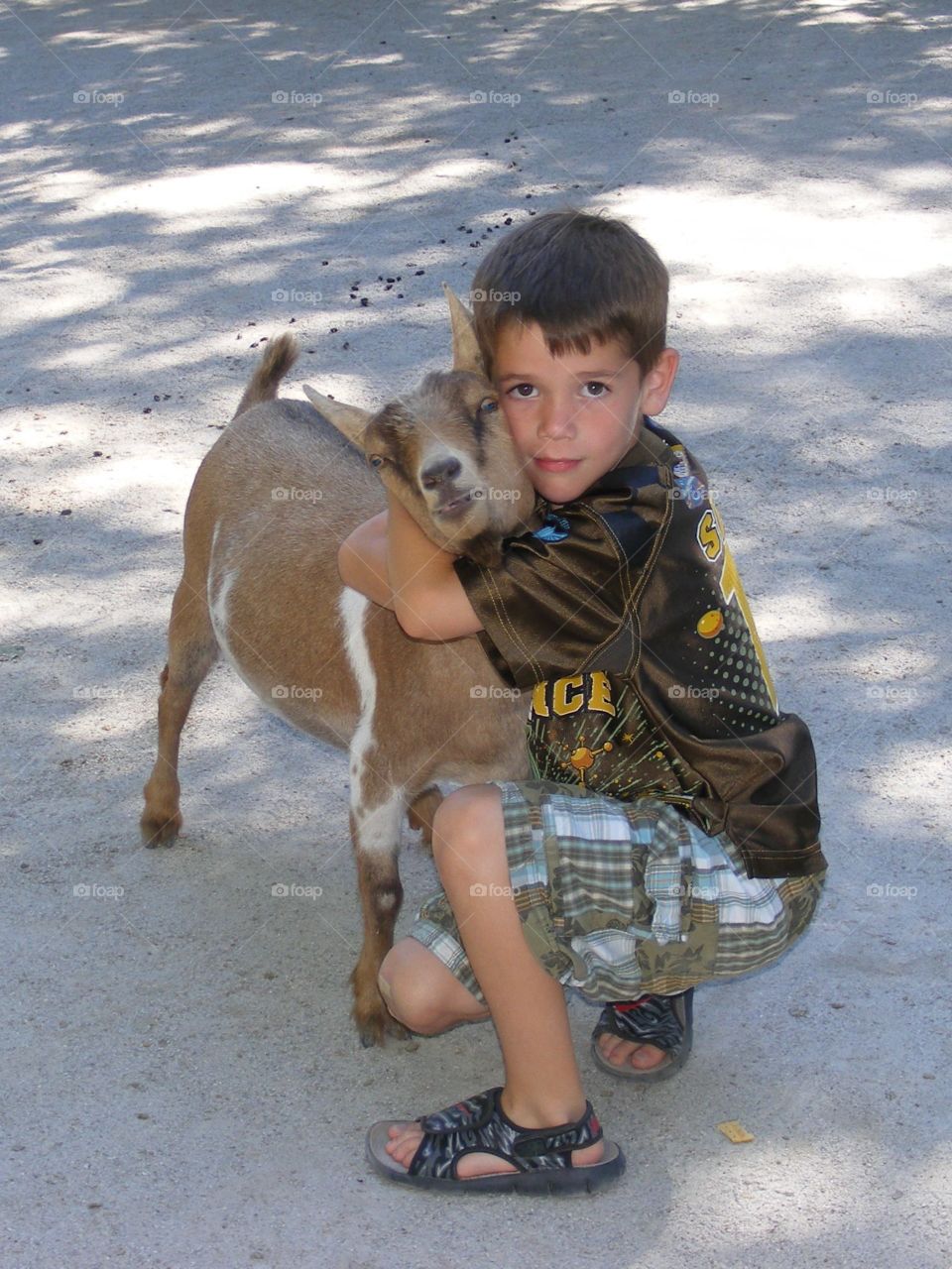 Boy hugging goat