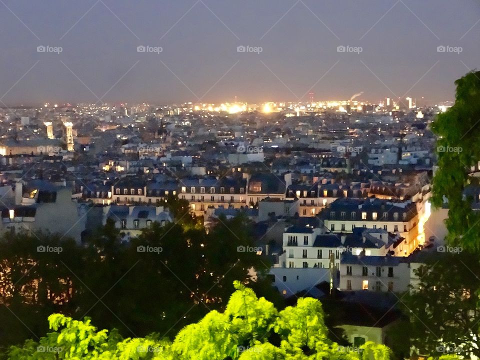 Paris View 