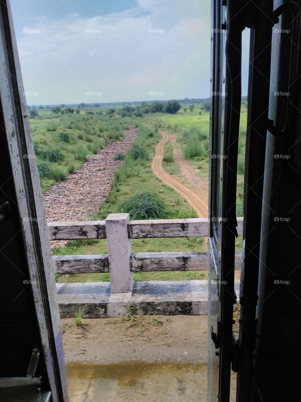 Scenic view of field