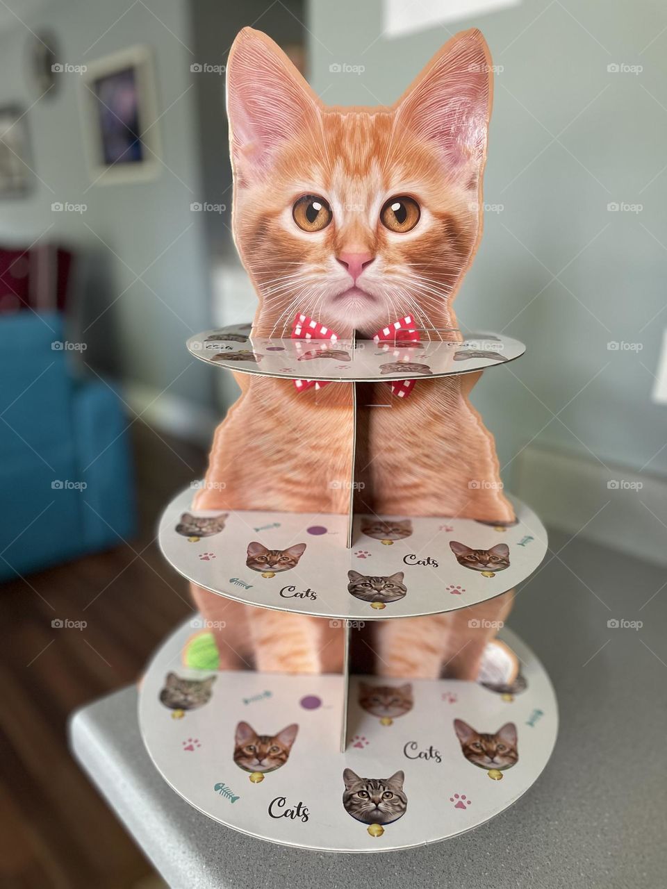 Making a cat tower, making a cat cupcake tower, building a cat cupcake tower for daughters birthday, making decorations for a birthday party