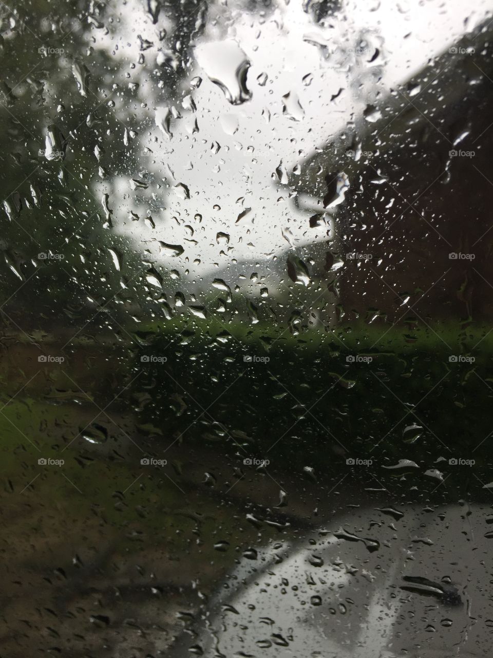 Rain reflections courtesy of Hurricane Irma. Charleston, SC.  September 2017