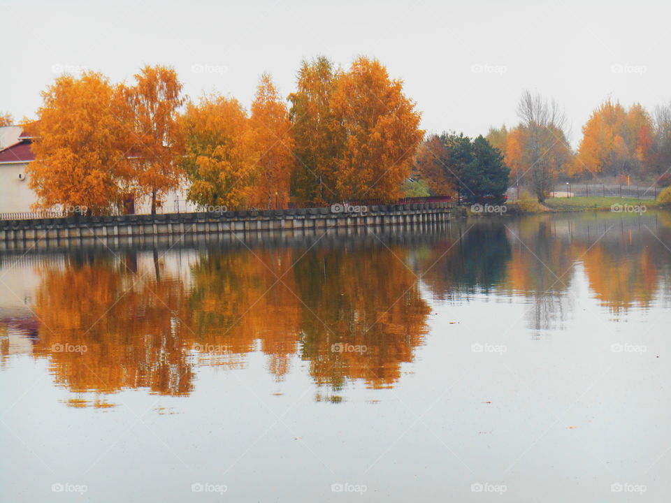 No Person, Lake, Reflection, Water, Tree