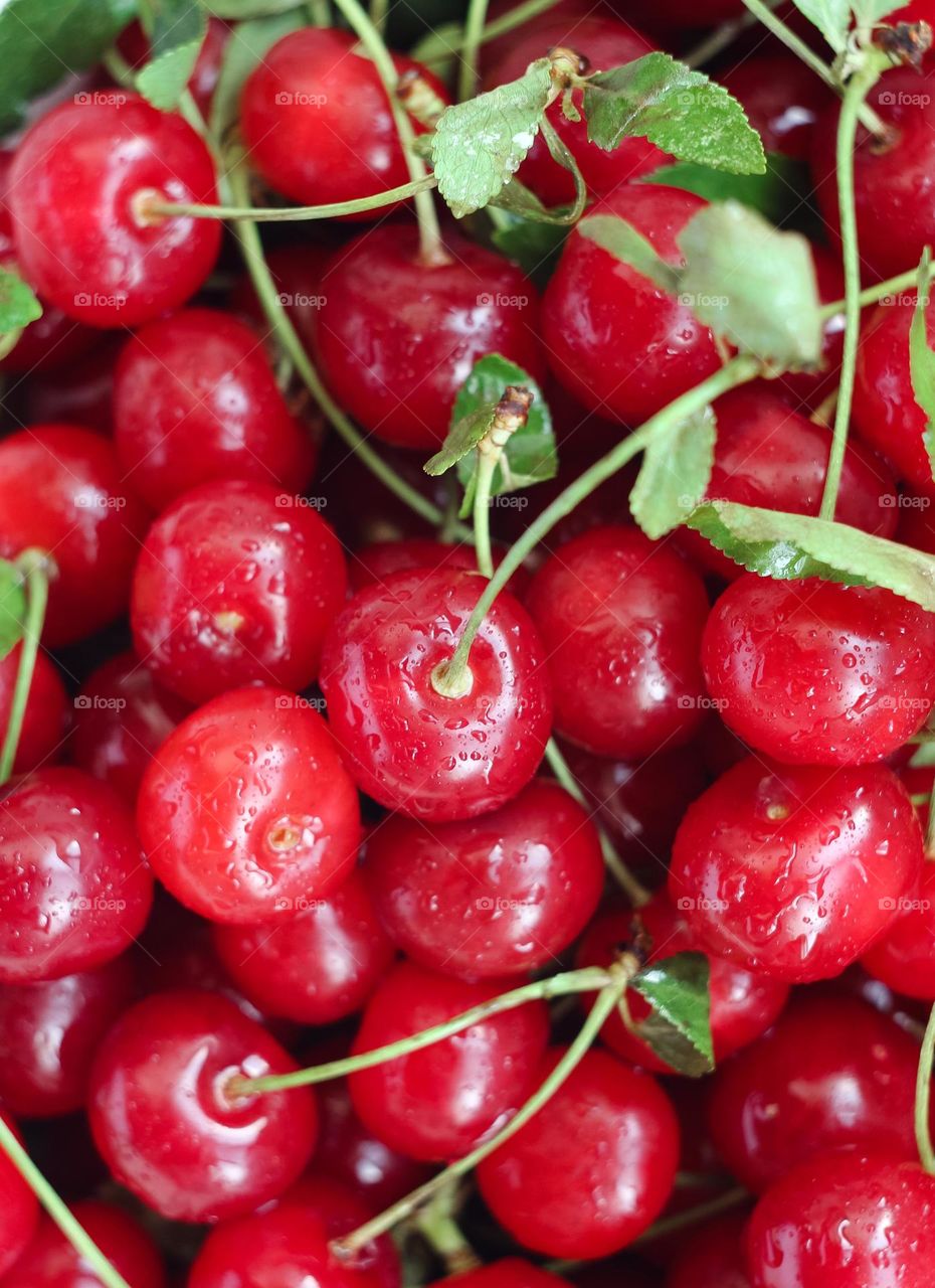 Fresh cherry in close-up