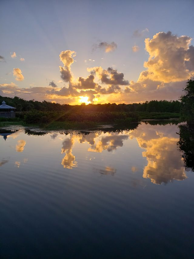 Sunset