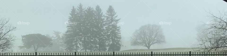 Foggy weather 