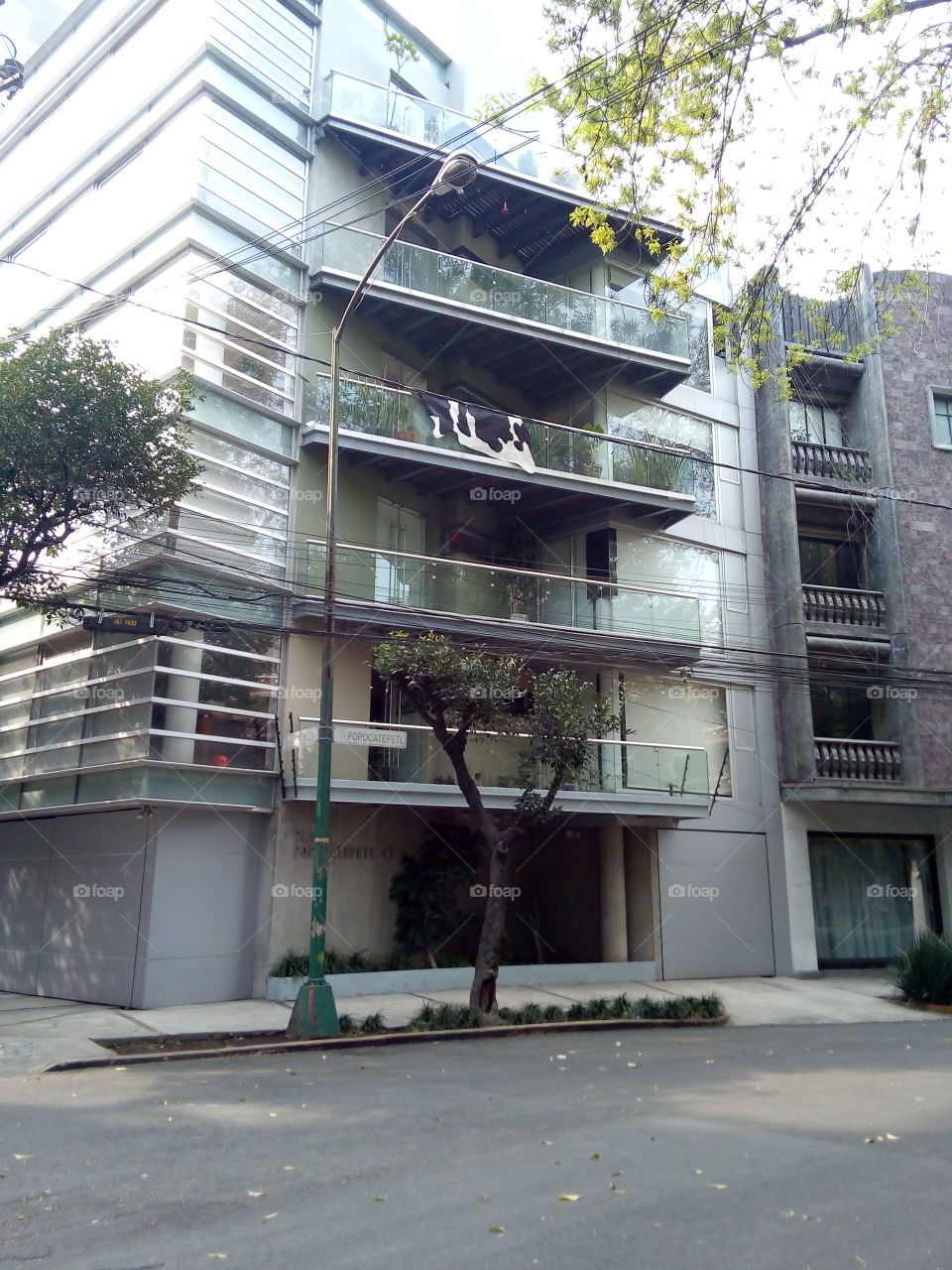 Edificio tipo moderno en la ciudad, balcón de cristal, árbol enfrente