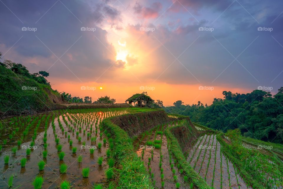 I was born and raised in a beautiful and calming village. Afternoon winds and sunsets are the things I see and feel the most, it's really fun.