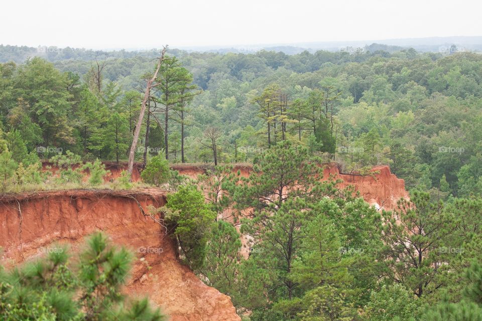 Providence Canyon