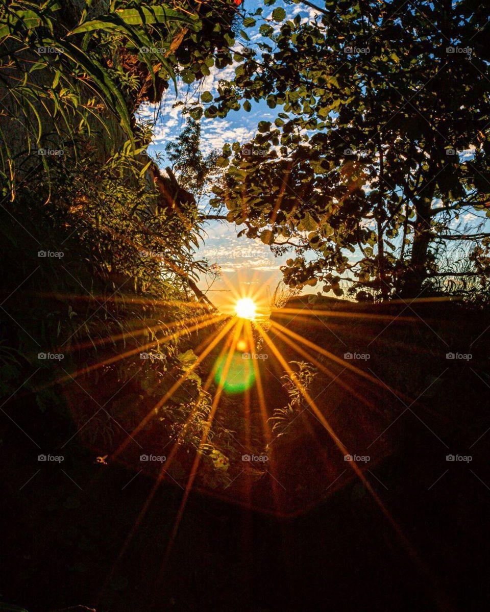 How much do you like this picture ?