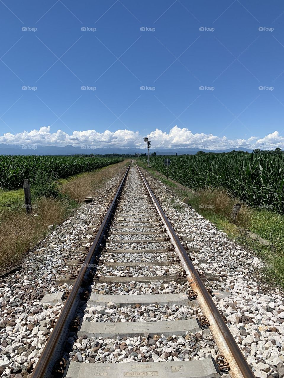 a railway line runs in a straight line through the Piedmont countryside