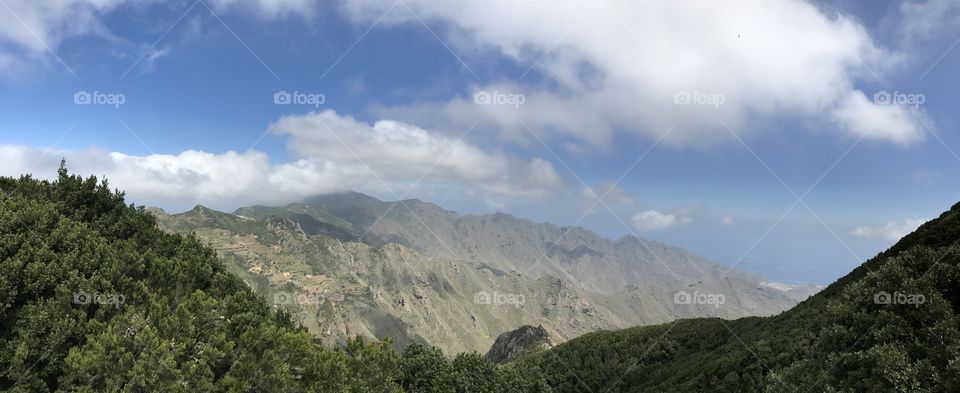 Discovering Tenerife 