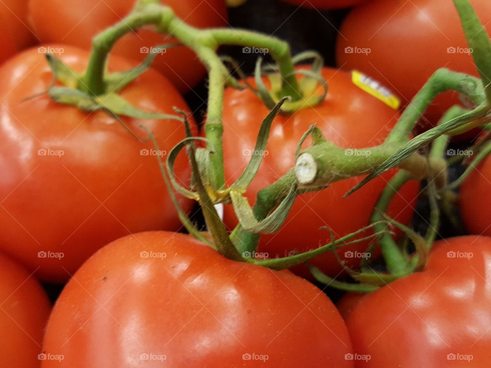 tomatoe on vine