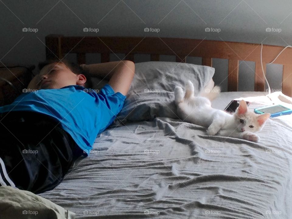 Cat 'n kid nap