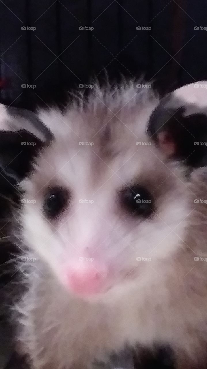 ready to wake up for the evening!