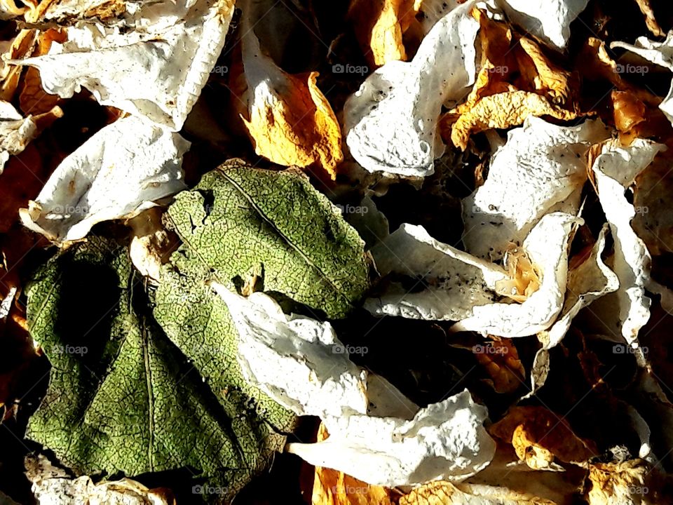 perfect imperfections