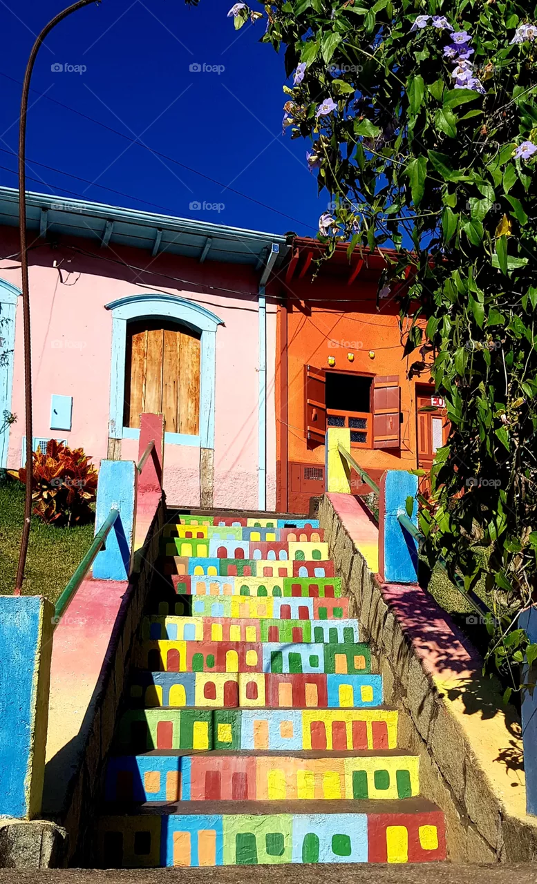 Colorful Ladder