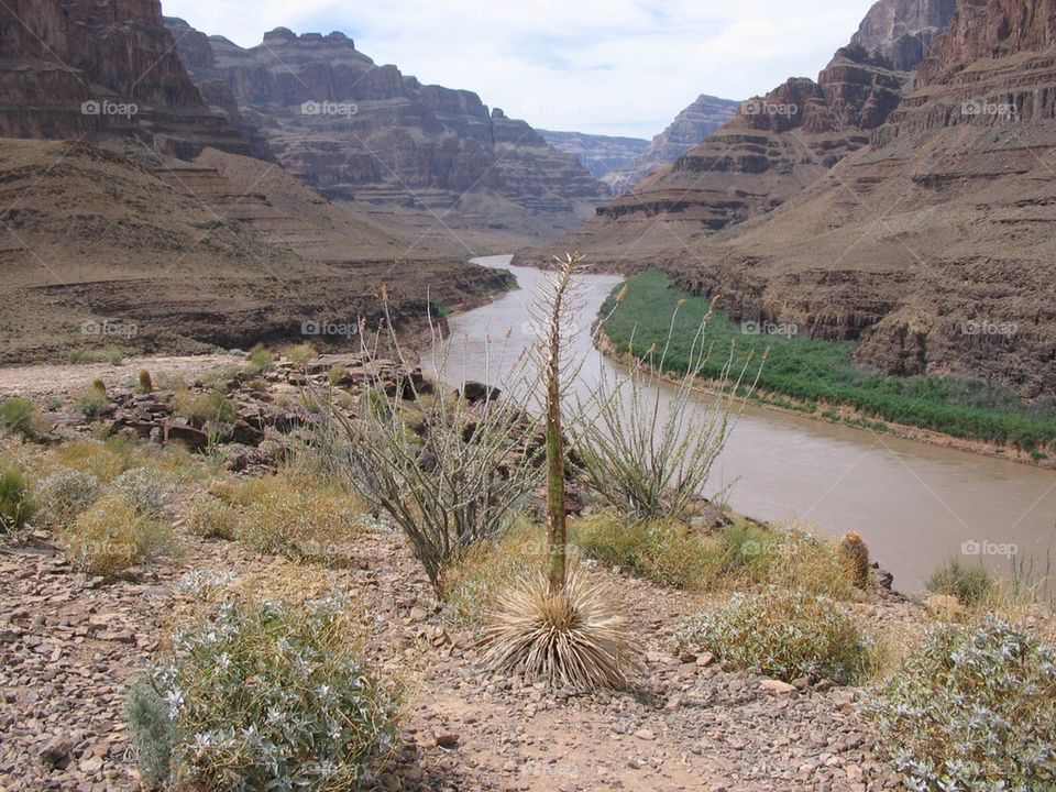 Grand Canyon floor