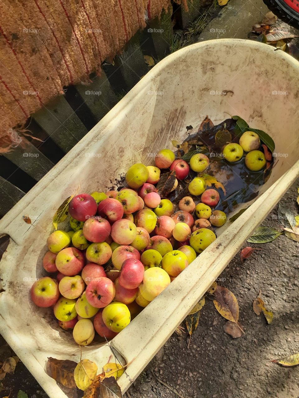 Кольори осені