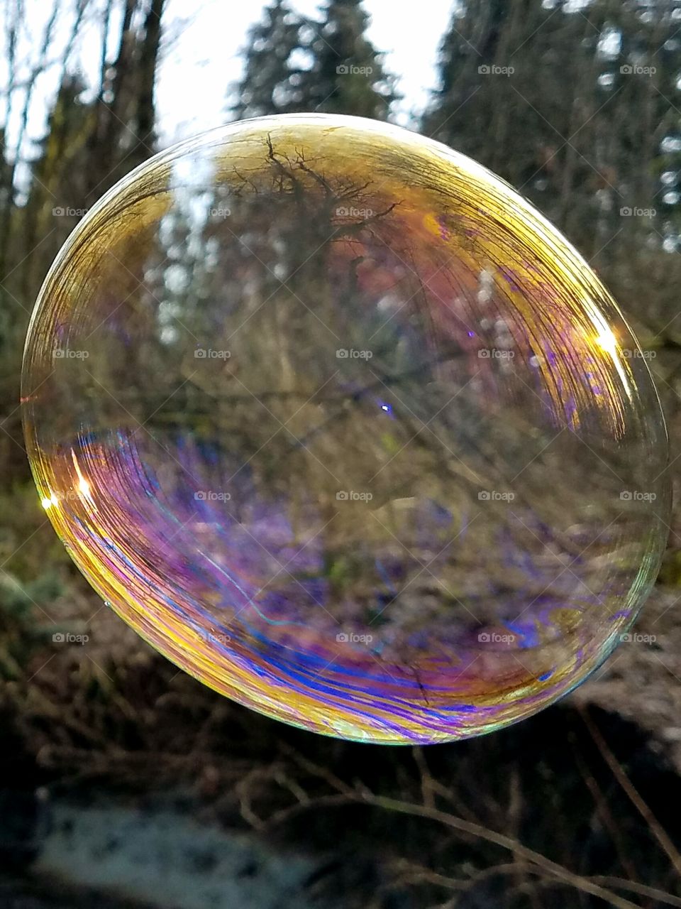 Bubbles