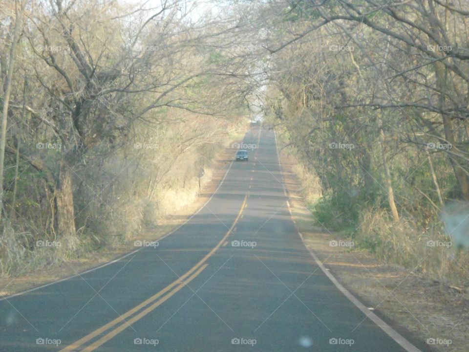 Road 