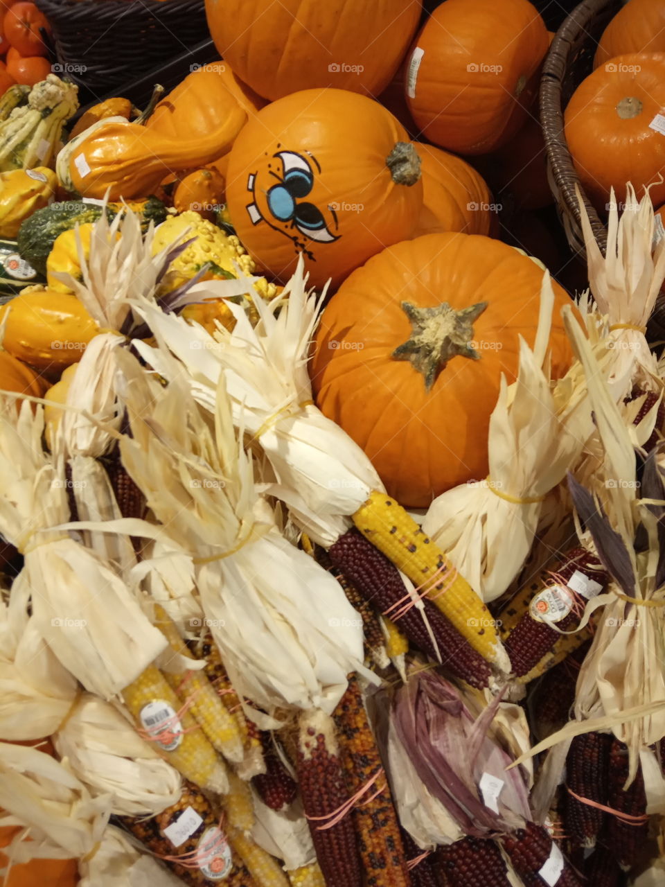 it's a pumpkin season