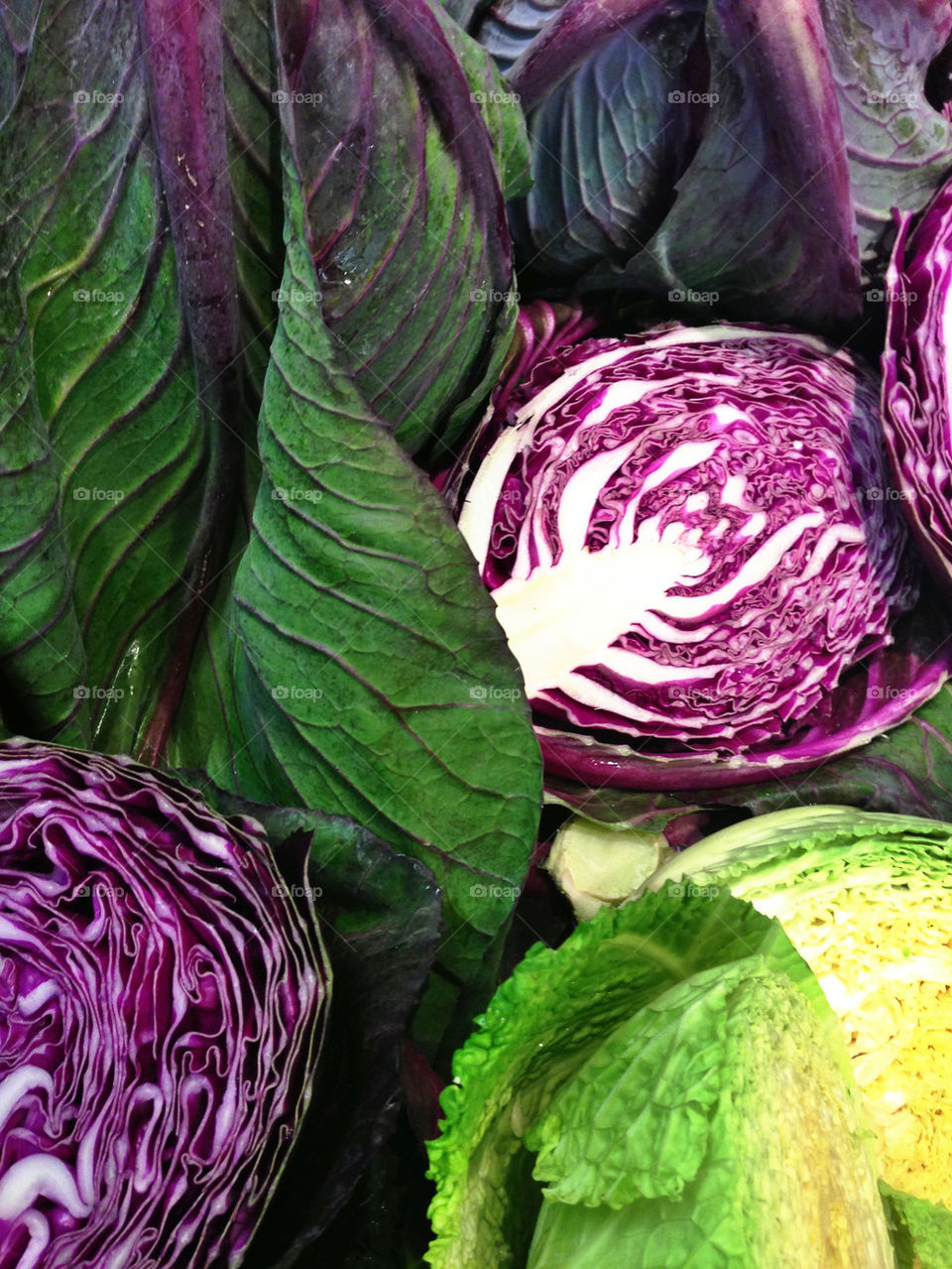 Colorful cabbages