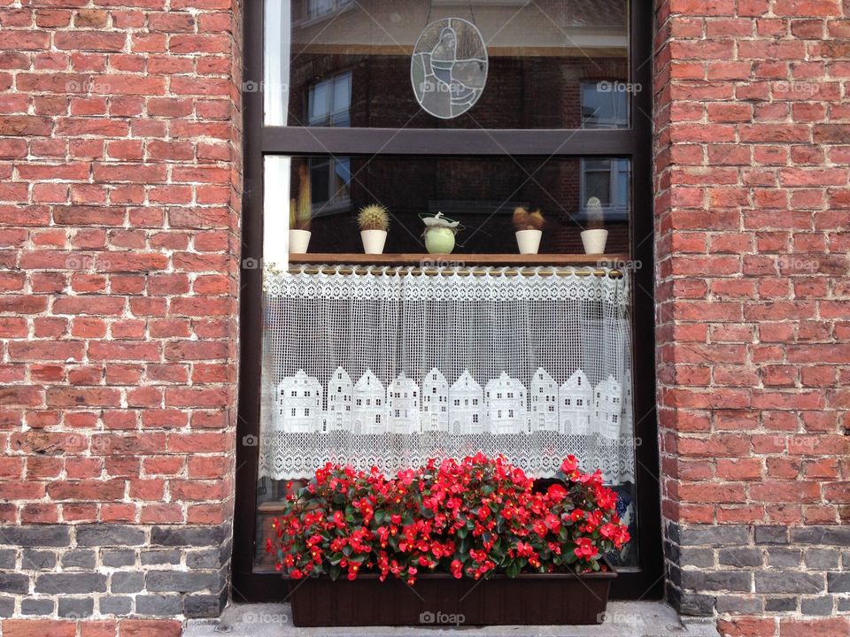 Window in Bruges 