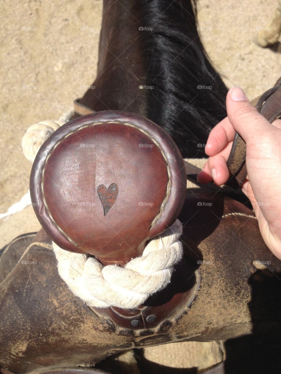 Saddle Heart