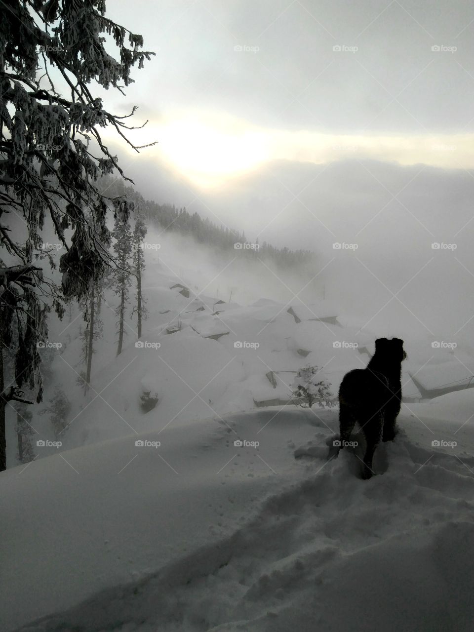 waiting  for sunrise