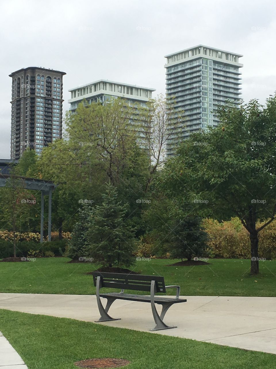 Bench, park and buildings