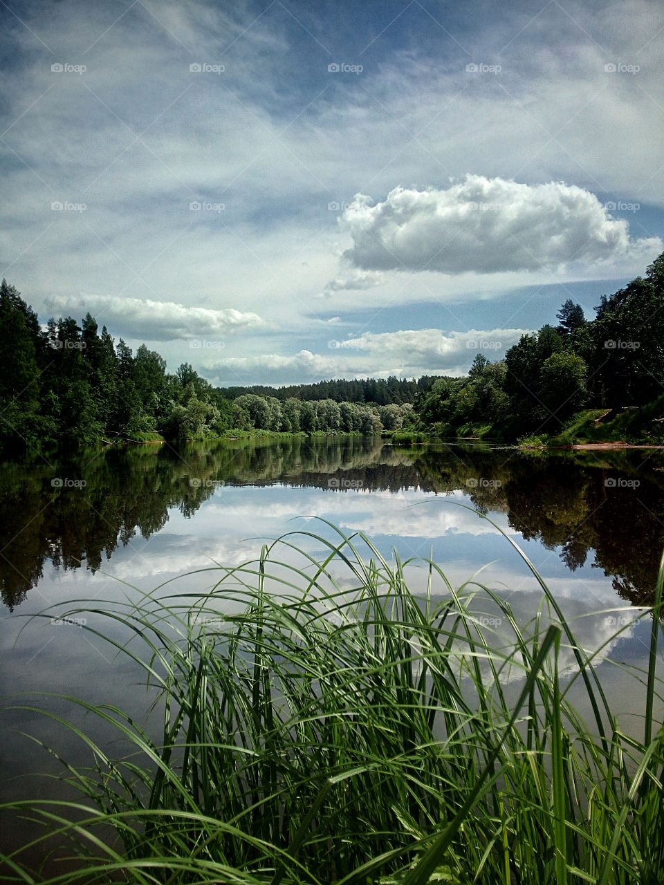 "As long as you're green, you're growing. As soon as you're ripe, you start to rot."
- Ray Kroc