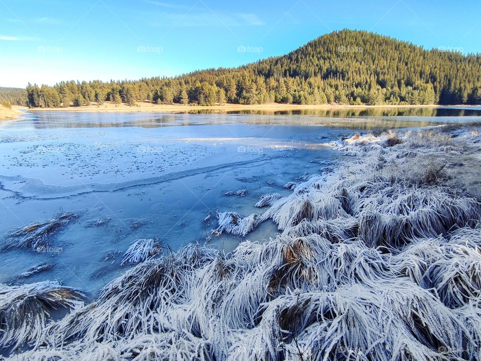 Frosty Marvels Nature's Ice Artistry Frozen Lake